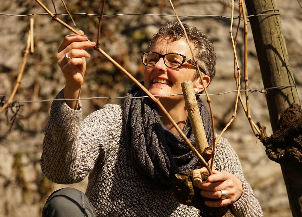 Baños de bosque: Disfruta de tours de vino en la naturaleza con amigos y descubre la región en días soleados.