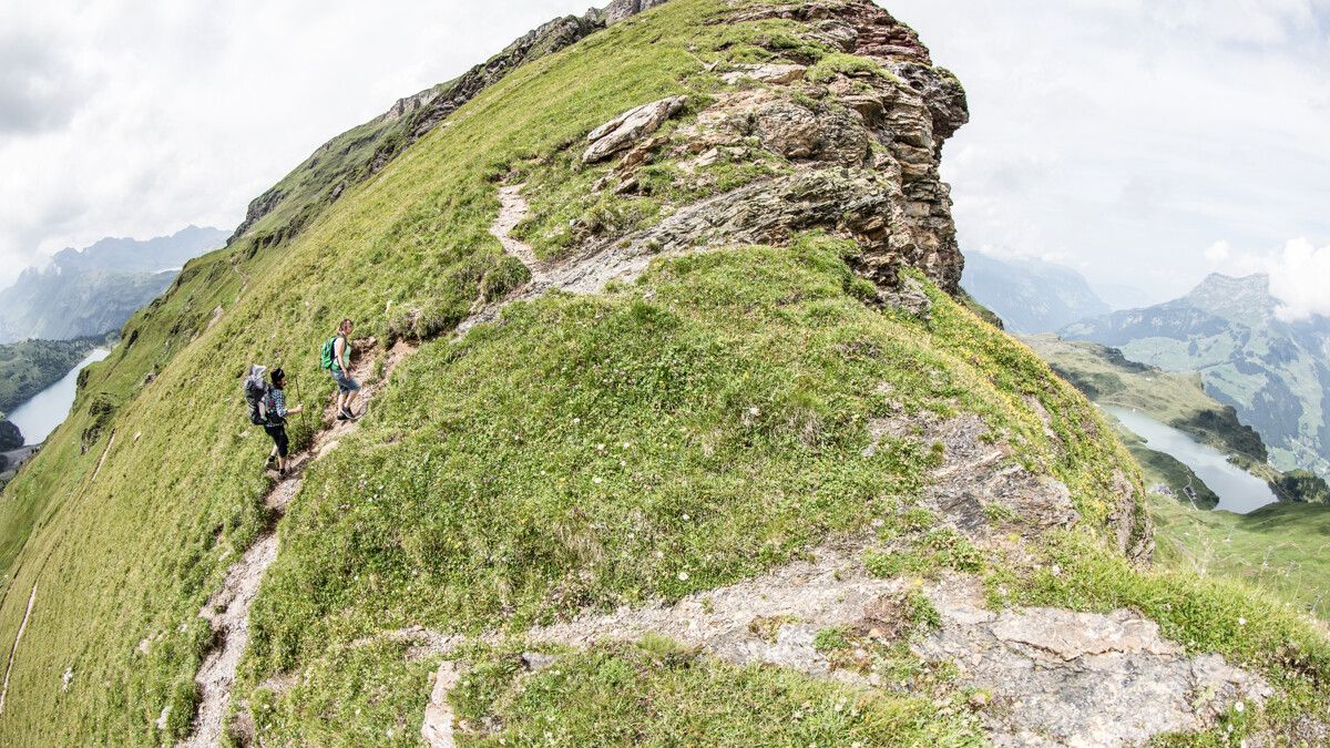 Wander paradise Titlis, hiker on path, green meadows, mountain landscape