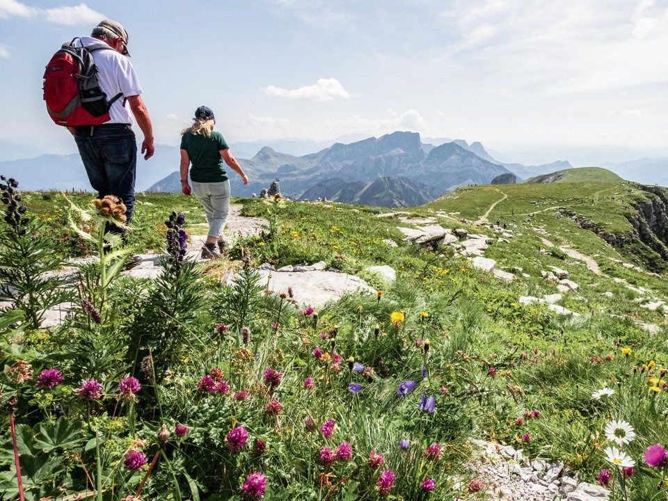 Escursioni Churfirsten: Scopri l'impressionante paesaggio alpino nel Toggenburg.