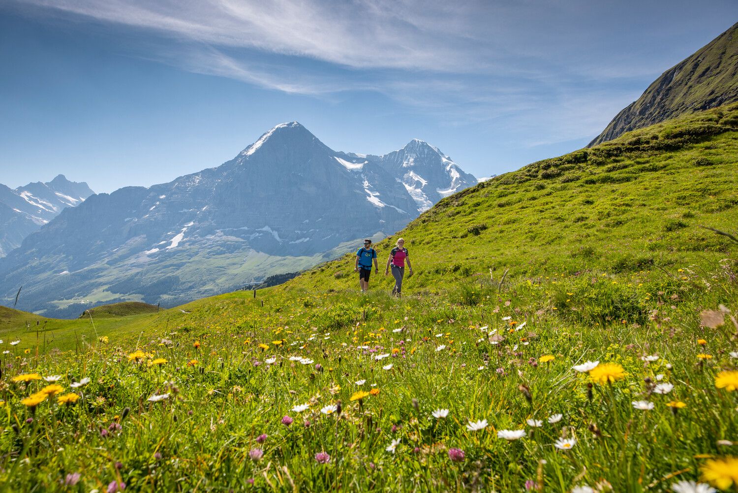 Wandern Männlichen: Erlebe blühende Wiesen und beeindruckende Berge im Sommer.