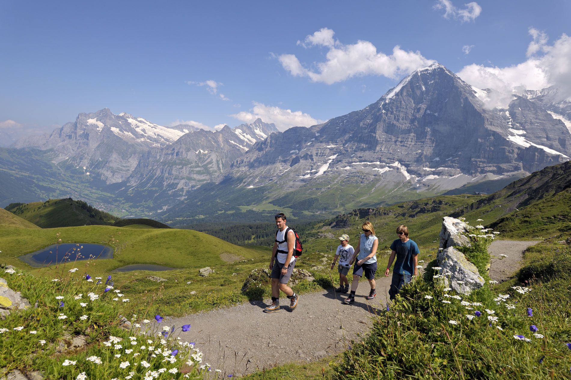 Vandreture ved Männlichen med udsigt over de Bernese alper
