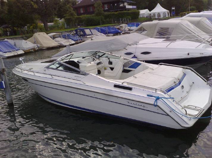 Kënaqësi me sporte uji në liqenin e Cyrihut me varka në port.