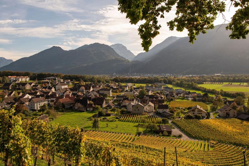 Weinberg Flaesch bietet eine beeindruckende Aussicht auf Weinreben und Berge in der herbstlichen Landschaft.