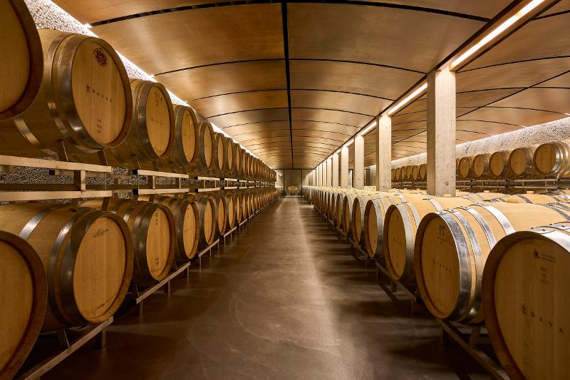 Weinkeller: erlebe die beeindruckende Weinlagerung im Weingut Davaz am Bodensee im Sommer.