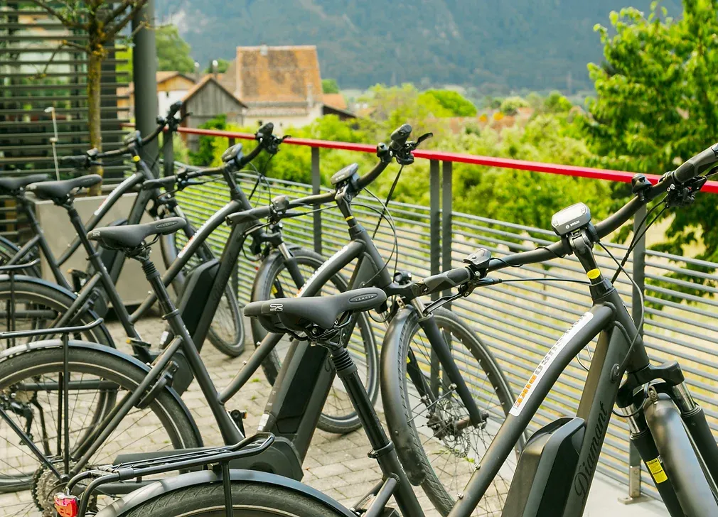Experimenta una cata de vinos en la naturaleza en grupo durante el verano en E-Bikes.