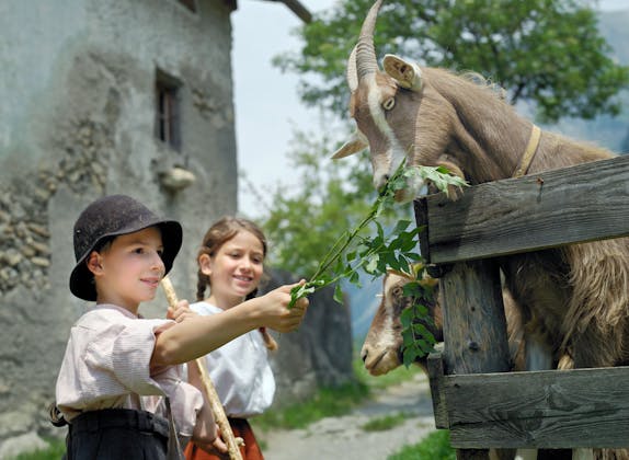 Les enfants nourrissent des chèvres lors d'une visite de vin dans la région de Bündner Herrschaft.