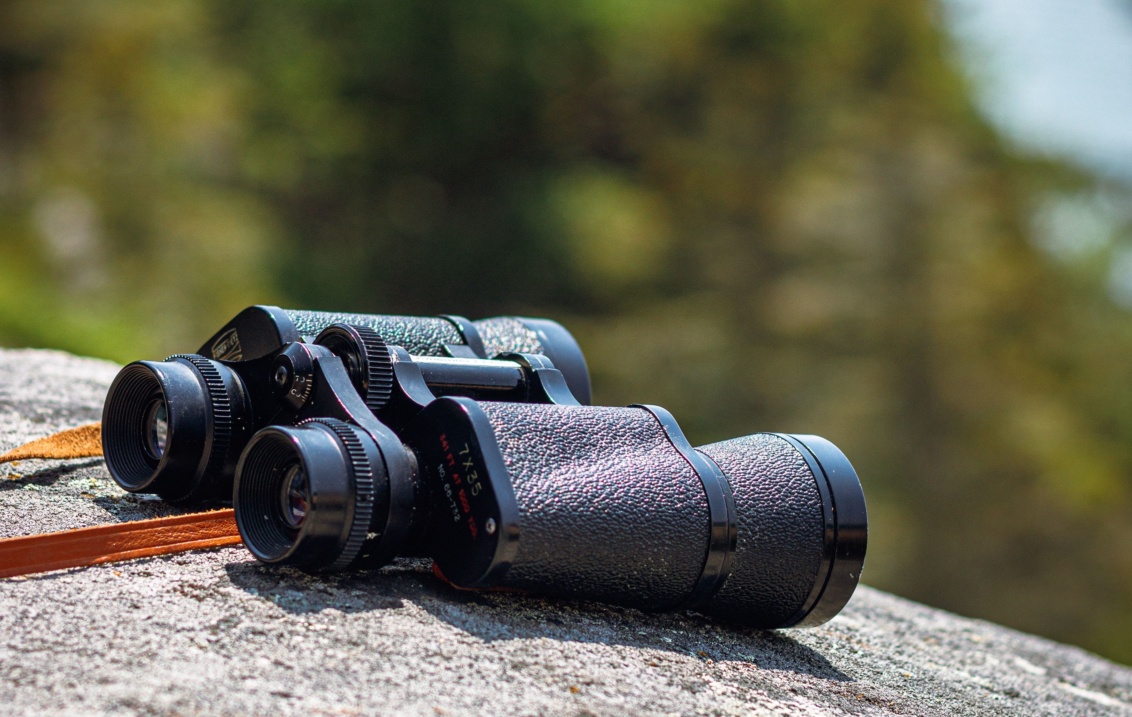 Steenbokobservatie: Ontdek de bergen van Scuol in de natuur met je verrekijker.