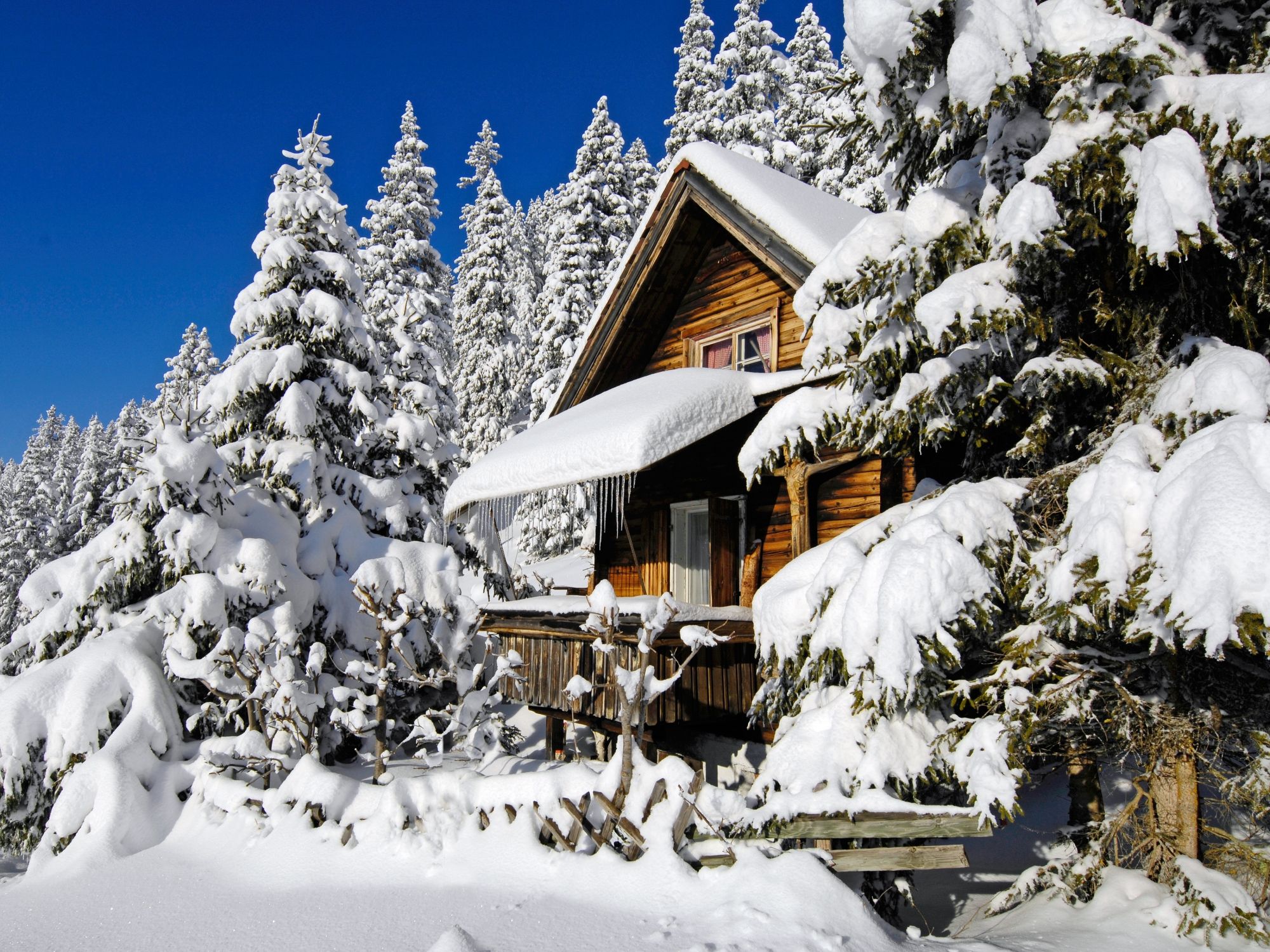 Skiticket Klostermatte Engelberg: Landskap musim sejuk dengan pondok bersalji dan pokok bersalji.