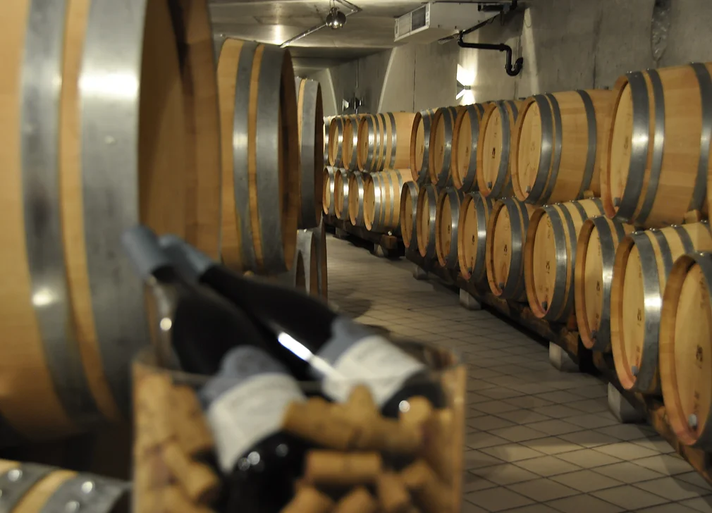 Bodega: Descubre la producción de vino y disfruta de la cata de vinos en la región vinícola.