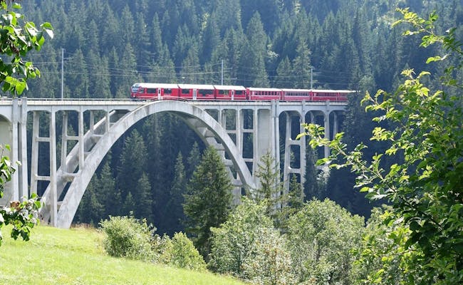 Langwieser Viaducto: Vive el pintoresco viaje en trenes panorámicos a través de los Alpes suizos.