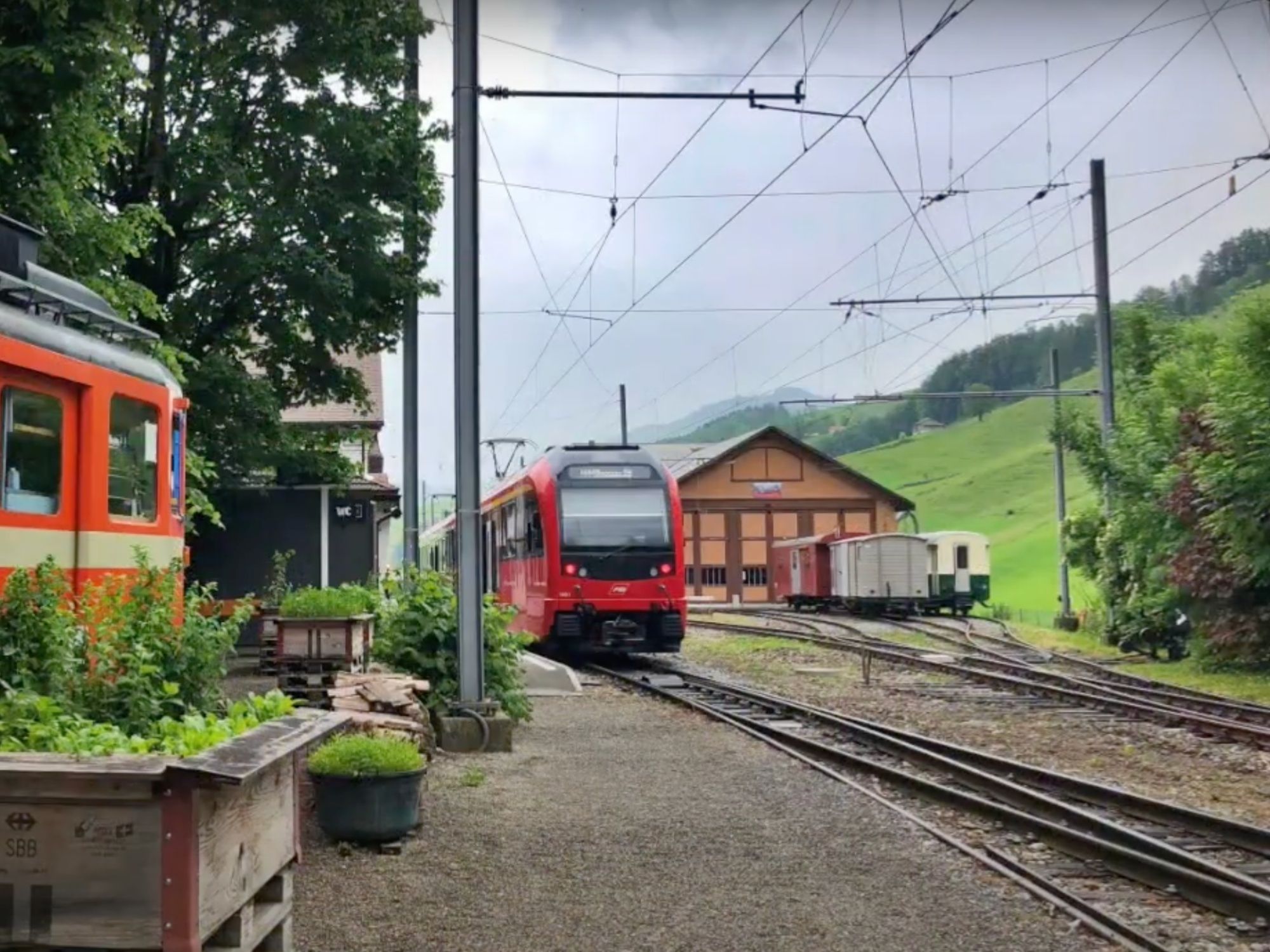 ツーク・ヴァッサーアウエン：夏の山と自然の間を行く列車。日帰り旅行やリラックスに最適。