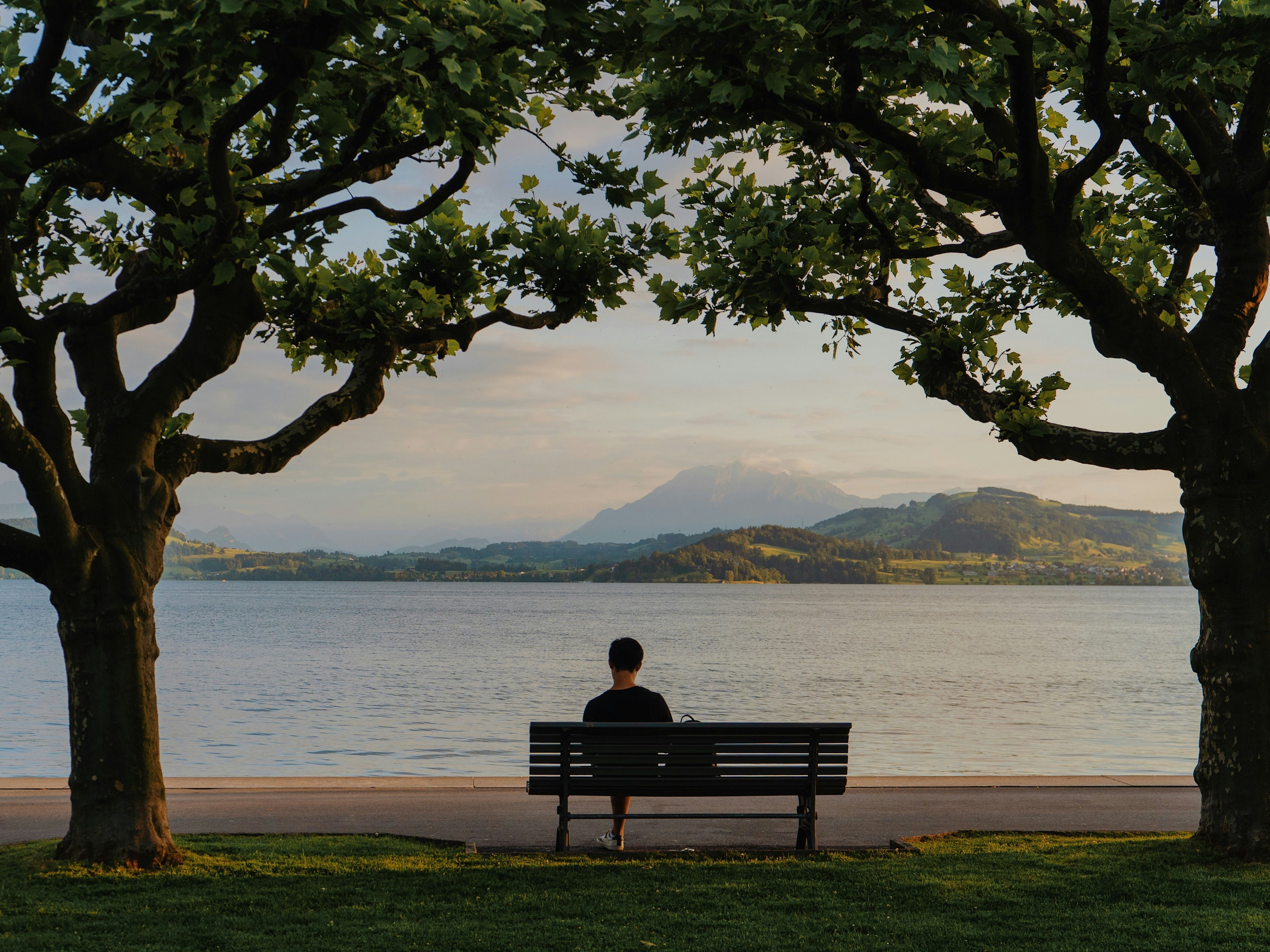 Zug: Pandangan ke tasik Zug semasa musim panas dengan pokok hijau dan suasana tenang.