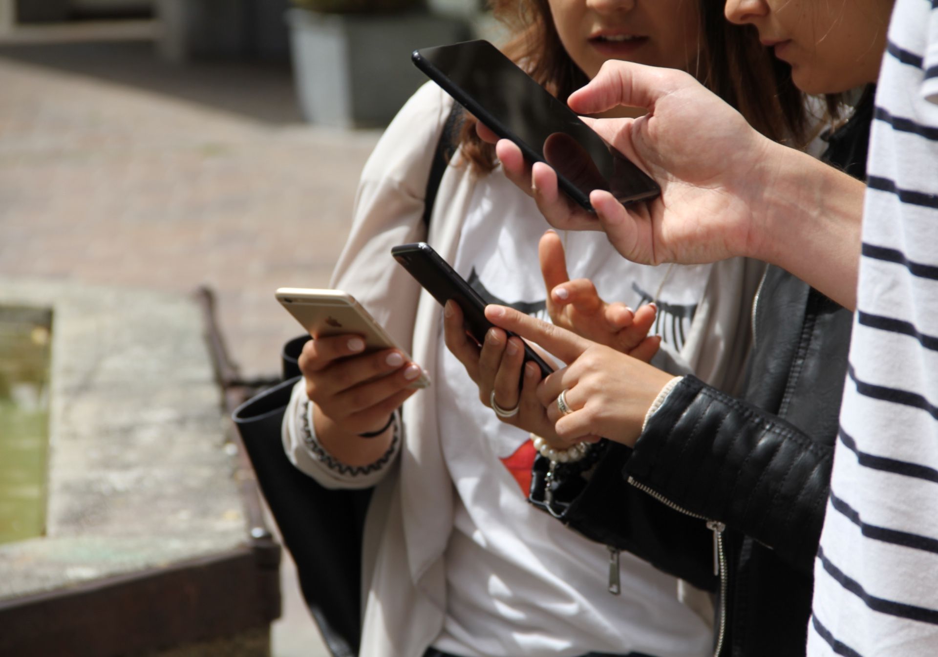 อาราว: ค้นพบการล่าไข่ซ่อนเร้นแบบอินเทอร์แอคทีฟสำหรับเด็กๆ กับเพื่อนและครอบครัว.