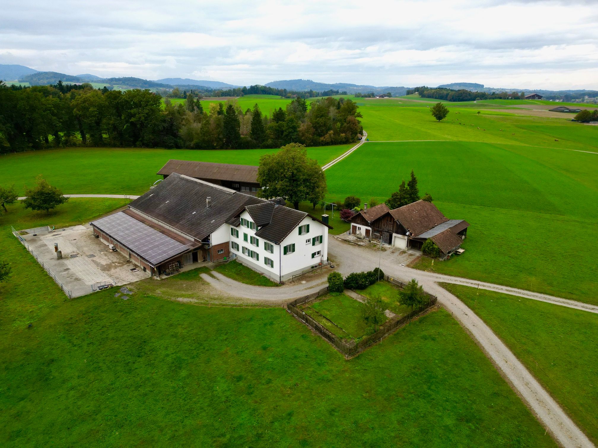 瑞士的风味：自然中的迷人村庄，绿色草地和山景
