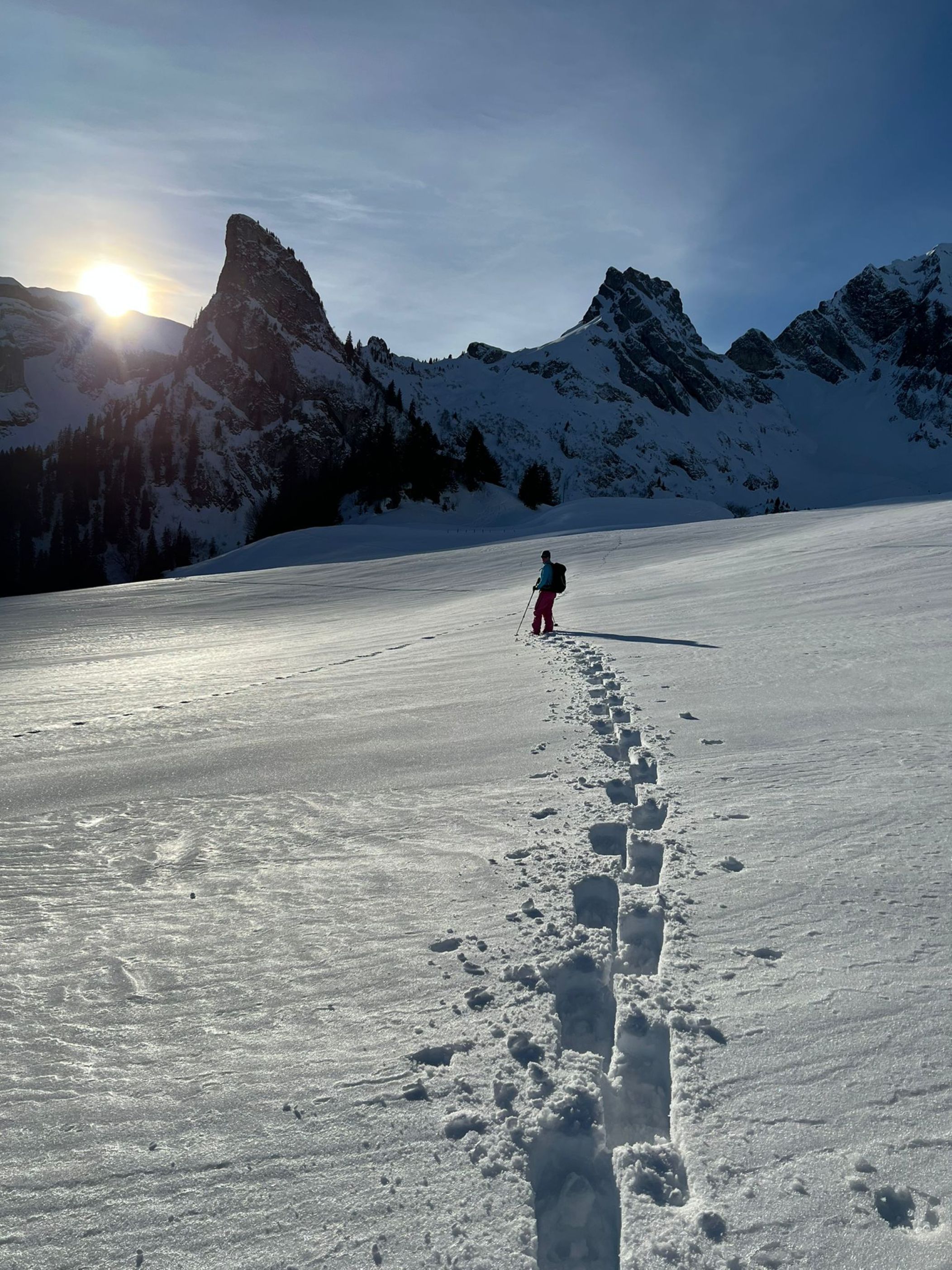 Vallning med snöskor i snön, upptäck den vinterliga naturen i bergen med vänner.