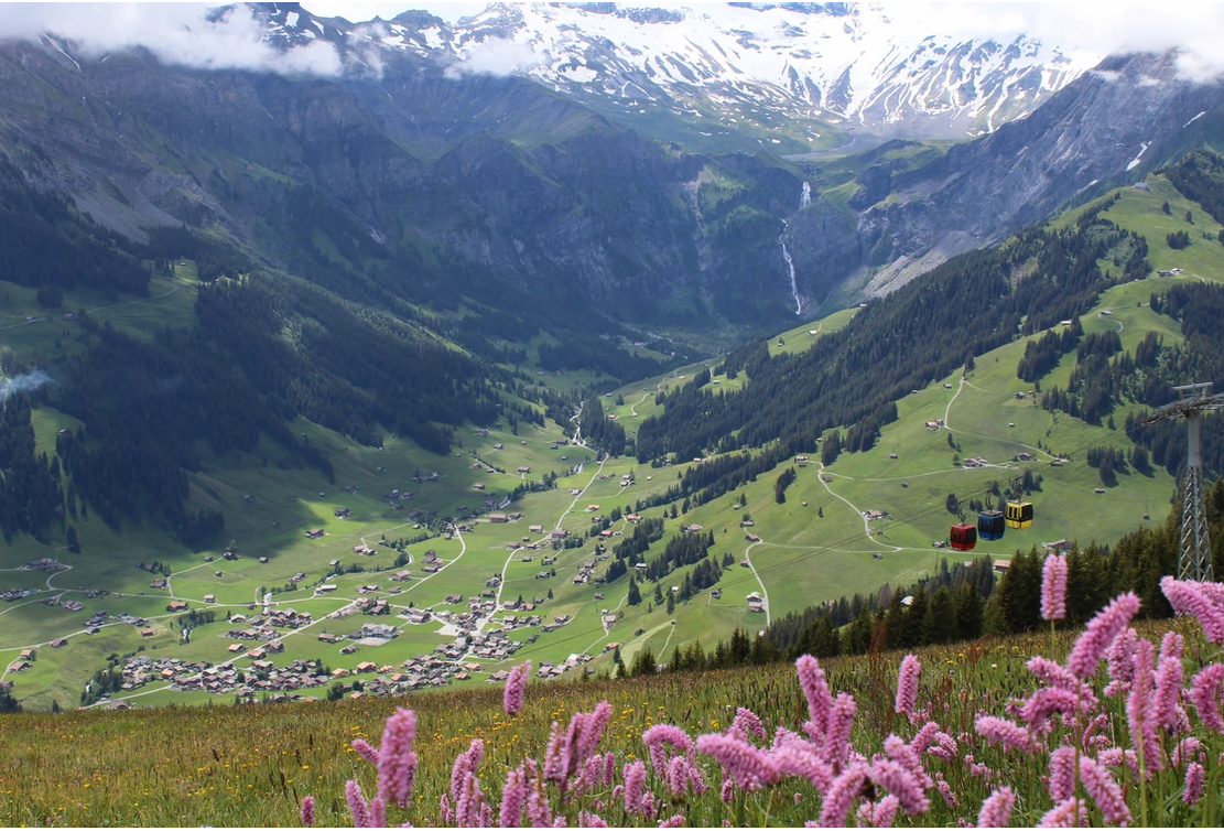 Vista di Tschentenalp con fiori, Alpi e valle.