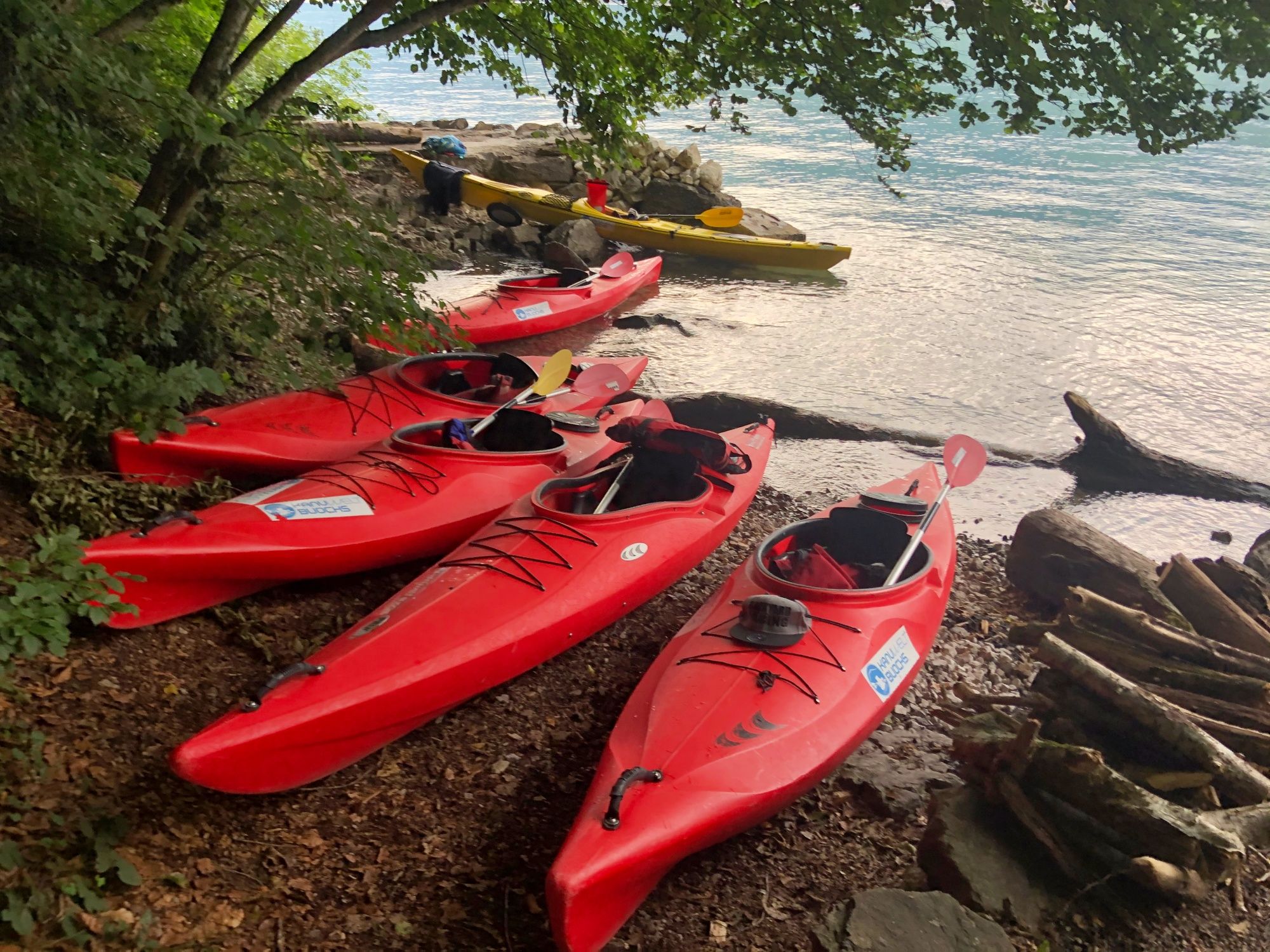 Sea kayak: kayaks on Lake Lucerne in nature, ideal for groups and adventure.