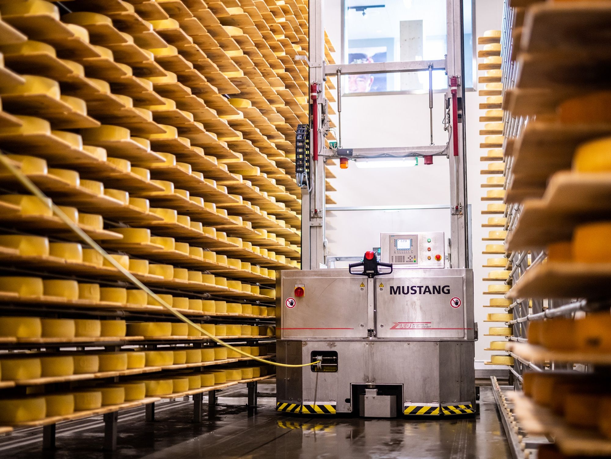 Appenzeller Schaukäserei: Erlebe die traditionelle Käseherstellung in der Schweiz bei einem Tagesausflug