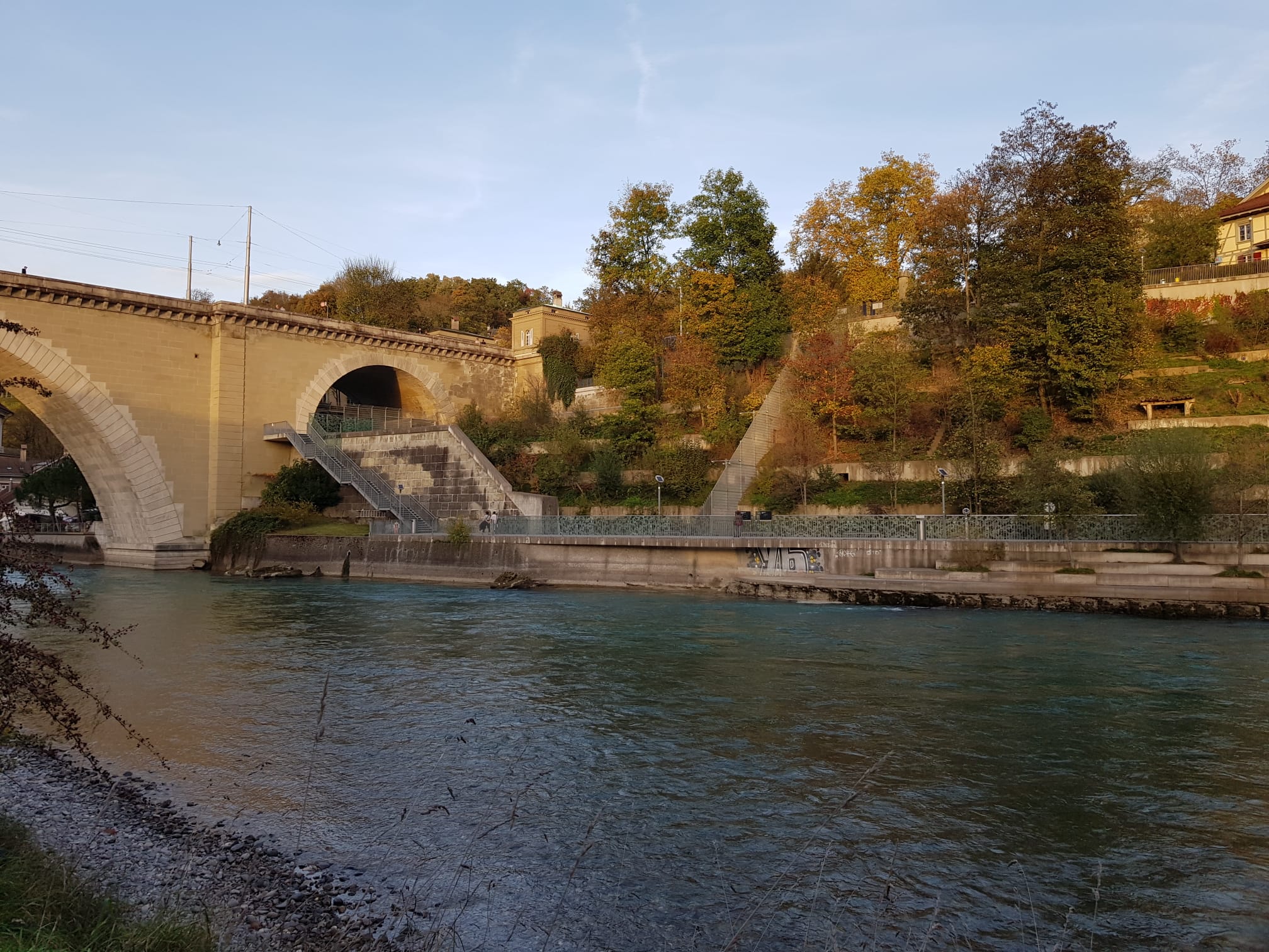 Baerenpark in Bern: Entdecke die natuerliche Schönheit und die tierische Vielfalt im Bärenpark.