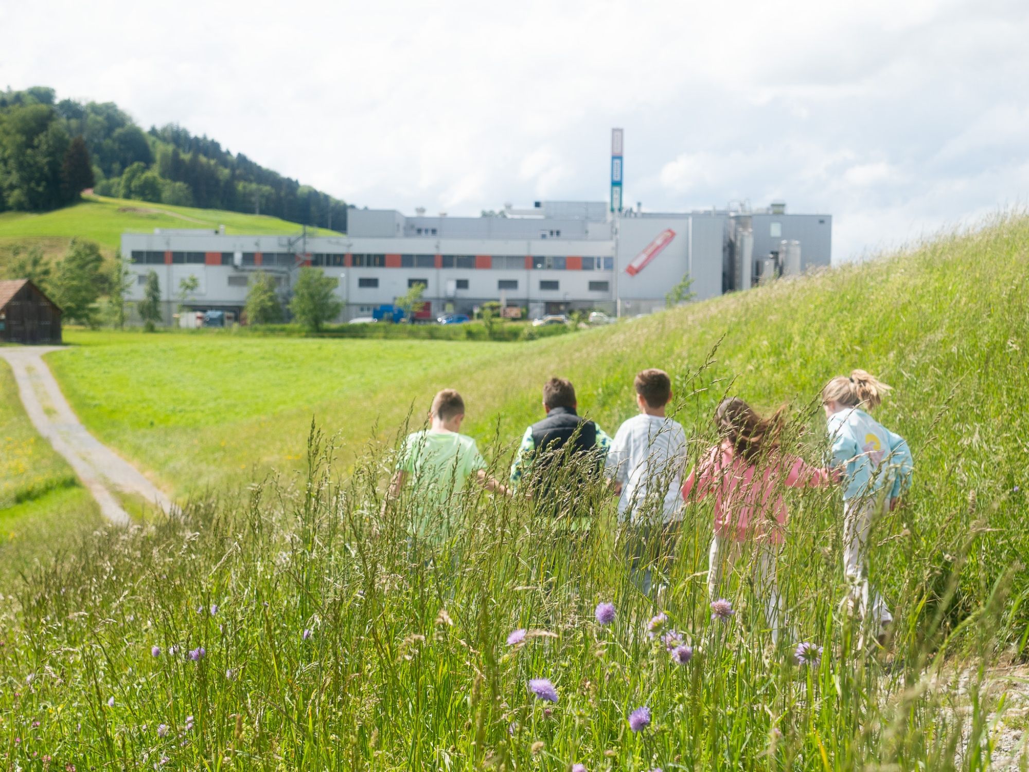 Chocolarium Flawil : activité de groupe en pleine nature avec un groupe d'enfants en été.