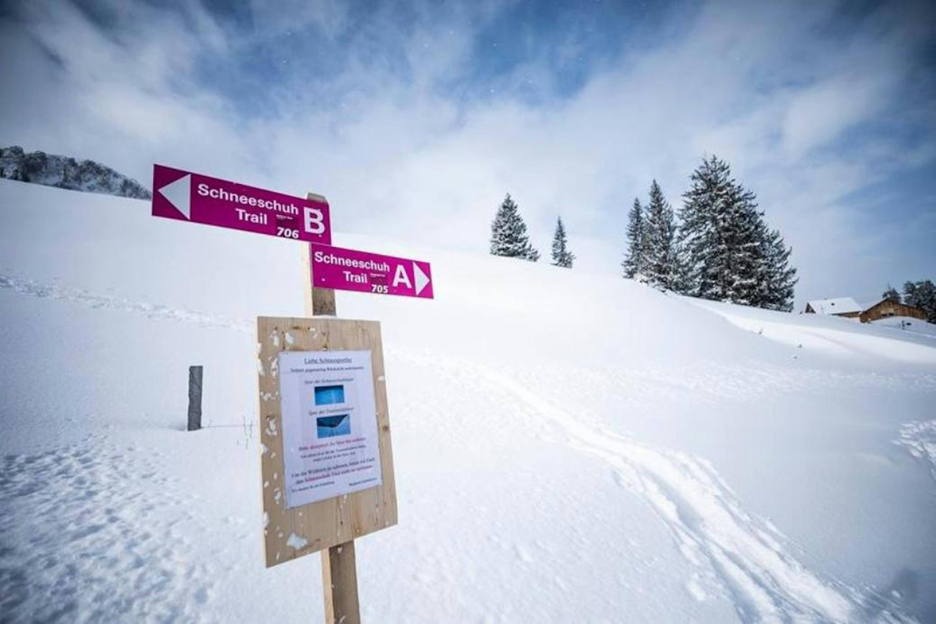 Schneeschuhtrails: Entdecke die beschilderten Wanderwege im winterlichen Schnee.