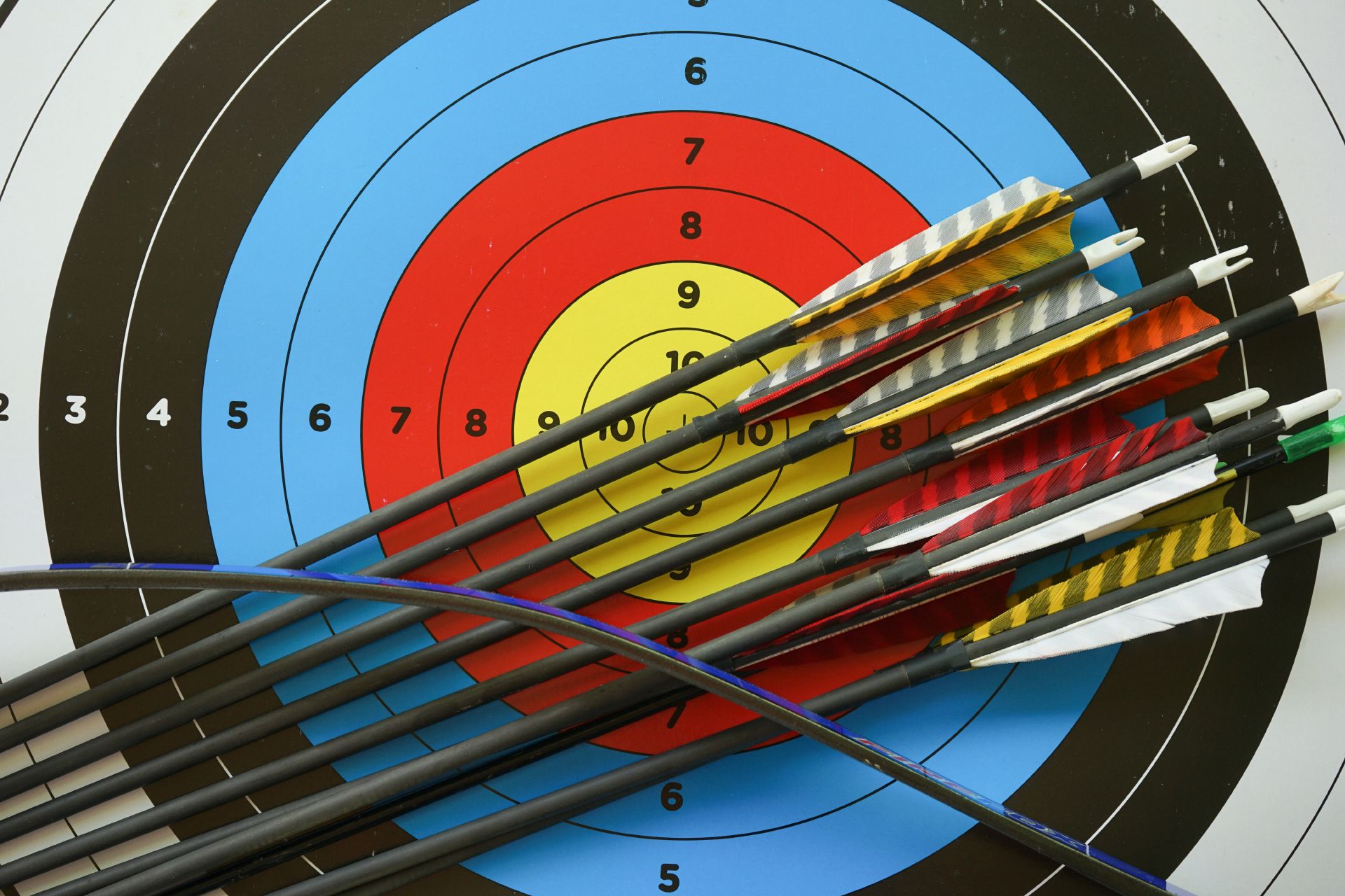 Стрельба из лука в Швейцарии по мишени