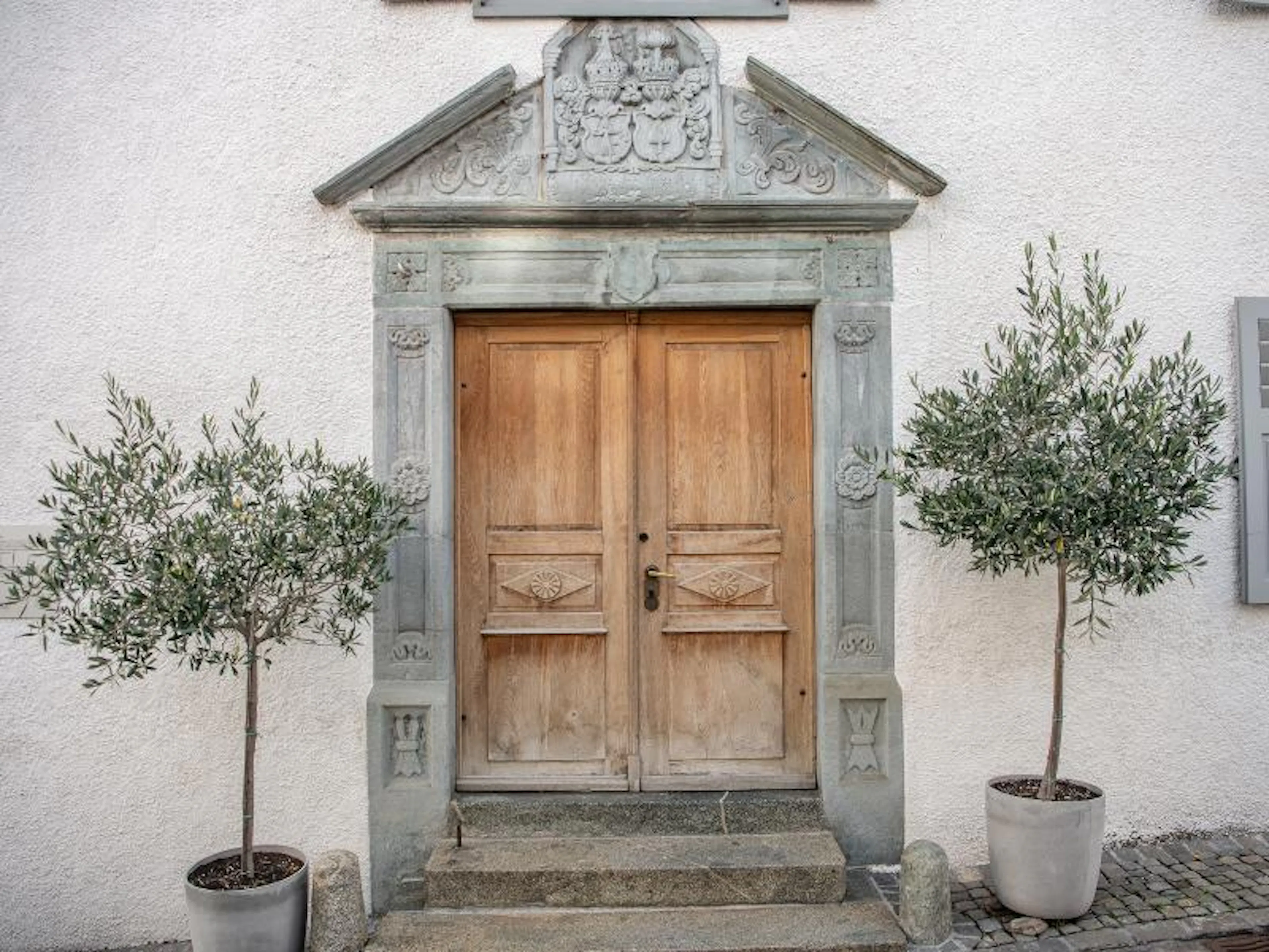 伊朗茨的门:位于伊朗茨旧城的历史悠久的门,周围环绕着橄榄树