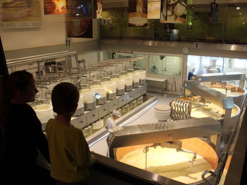 Käserei in Gruyeres: Besichtigung der Käseproduktion mit Blick auf die beeindruckenden Anlagen.