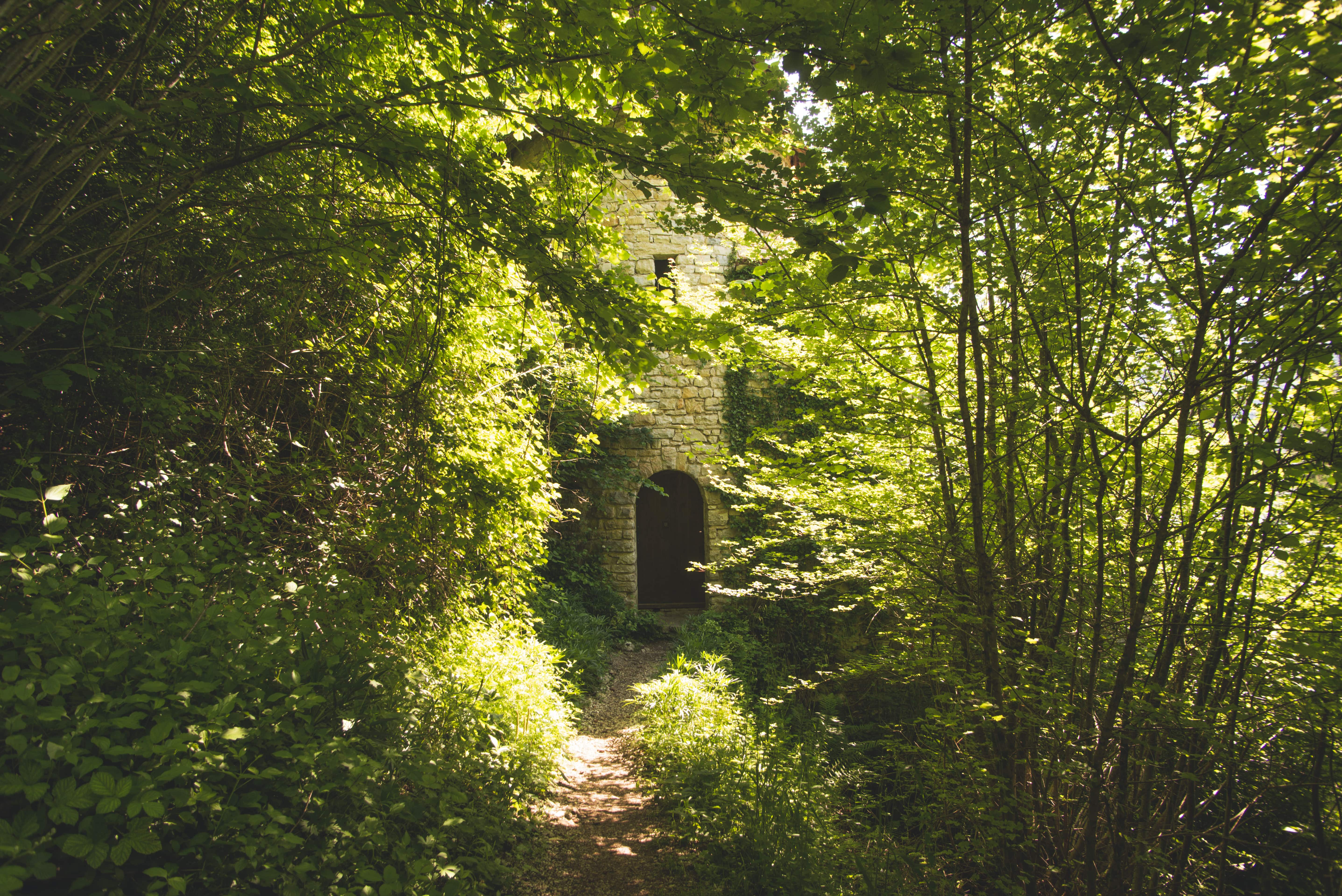 Circuit Secret Saint Ursanne : chemin forestier mystique vers la ruine, idéal pour les amoureux de la nature et de la randonnée.
