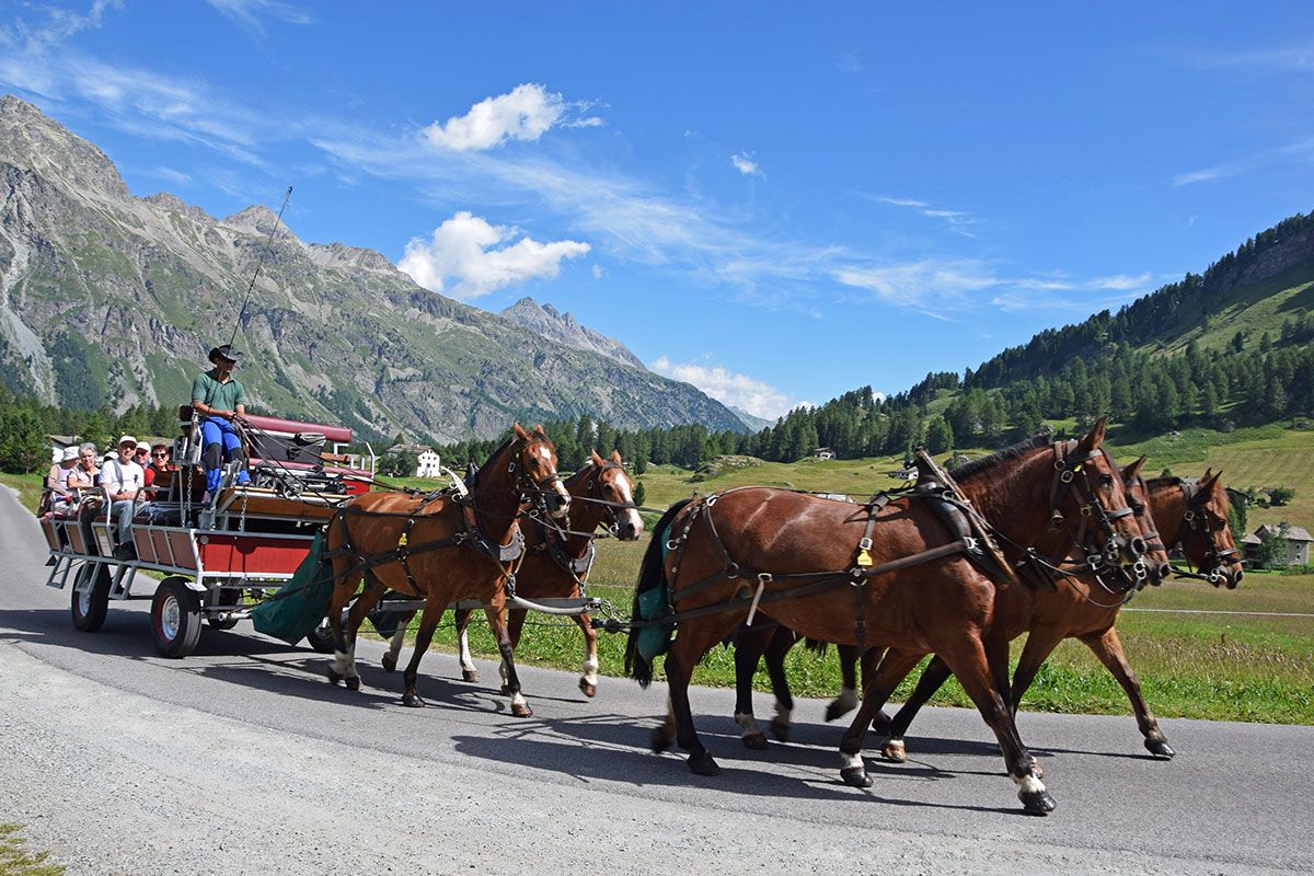 Paardentram door het schilderachtige landschap Clalüna met kleurrijke bergen en blije uitstappers