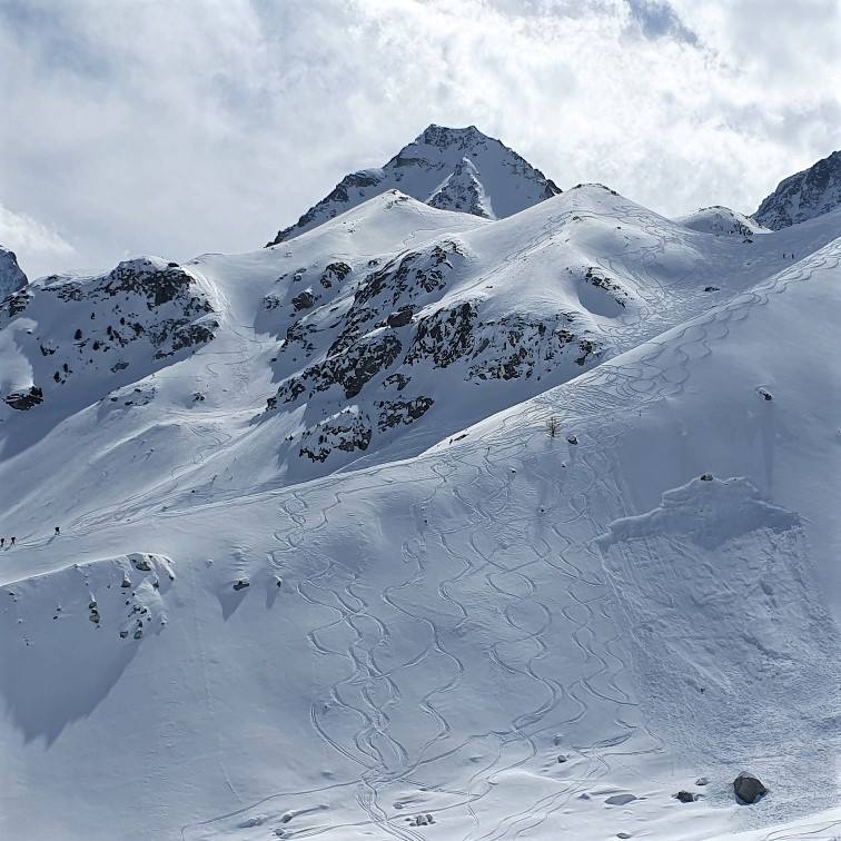 Лавинный курс: испытайте тренера по фрирайду в Валлее с захватывающим снежным пейзажем.