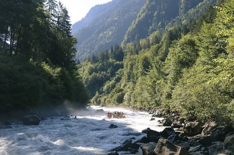Rafting in Interlaken op een wilde rivier in de Alpen, omringd door bomen en bergen.