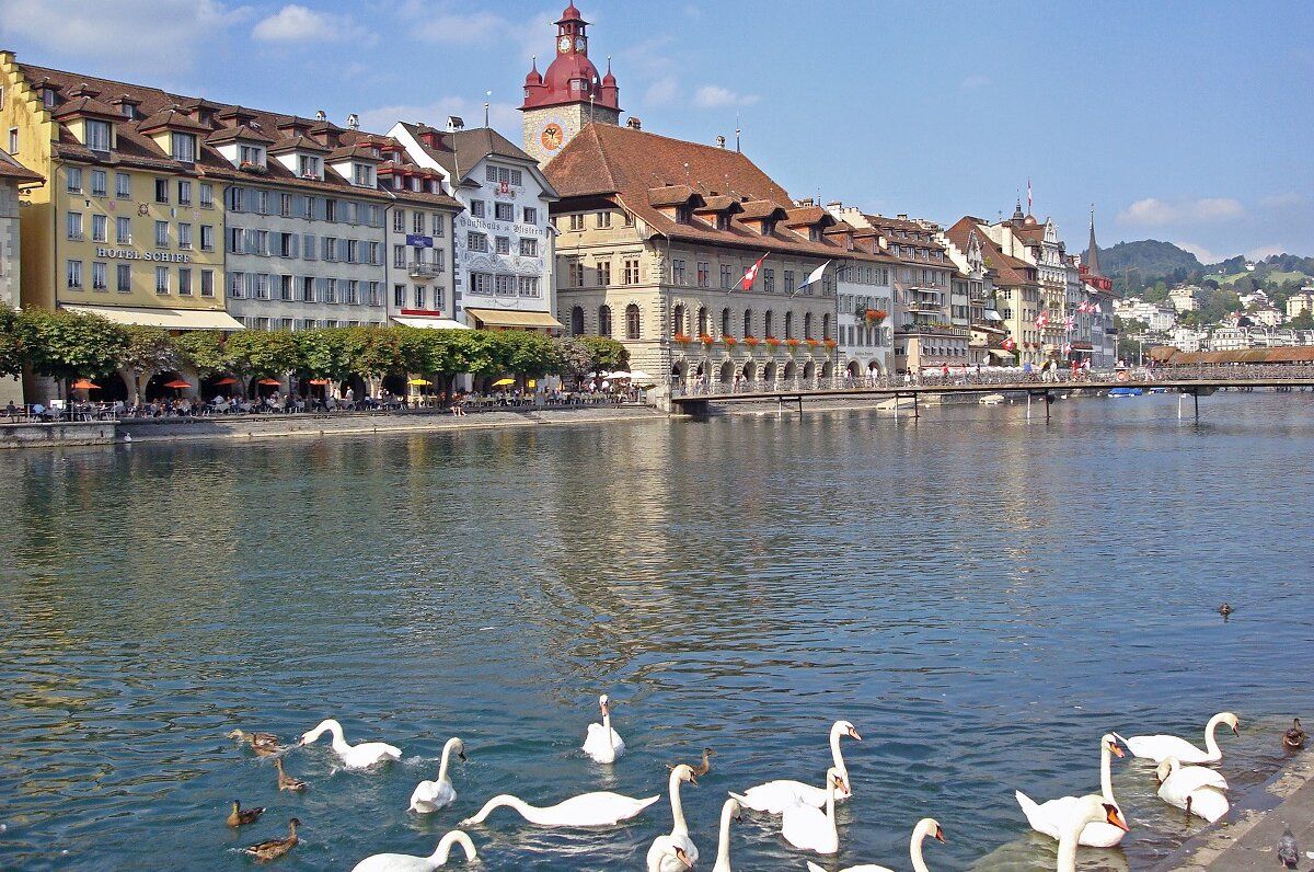 بحيرة لوسيرن فيروالدشتات مع البجع والمدينة القديمة