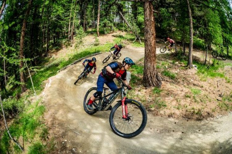 기술 MTB: 여름에 숲속의 트레일을 따라 멋지게 달리는 바이커들 그룹.