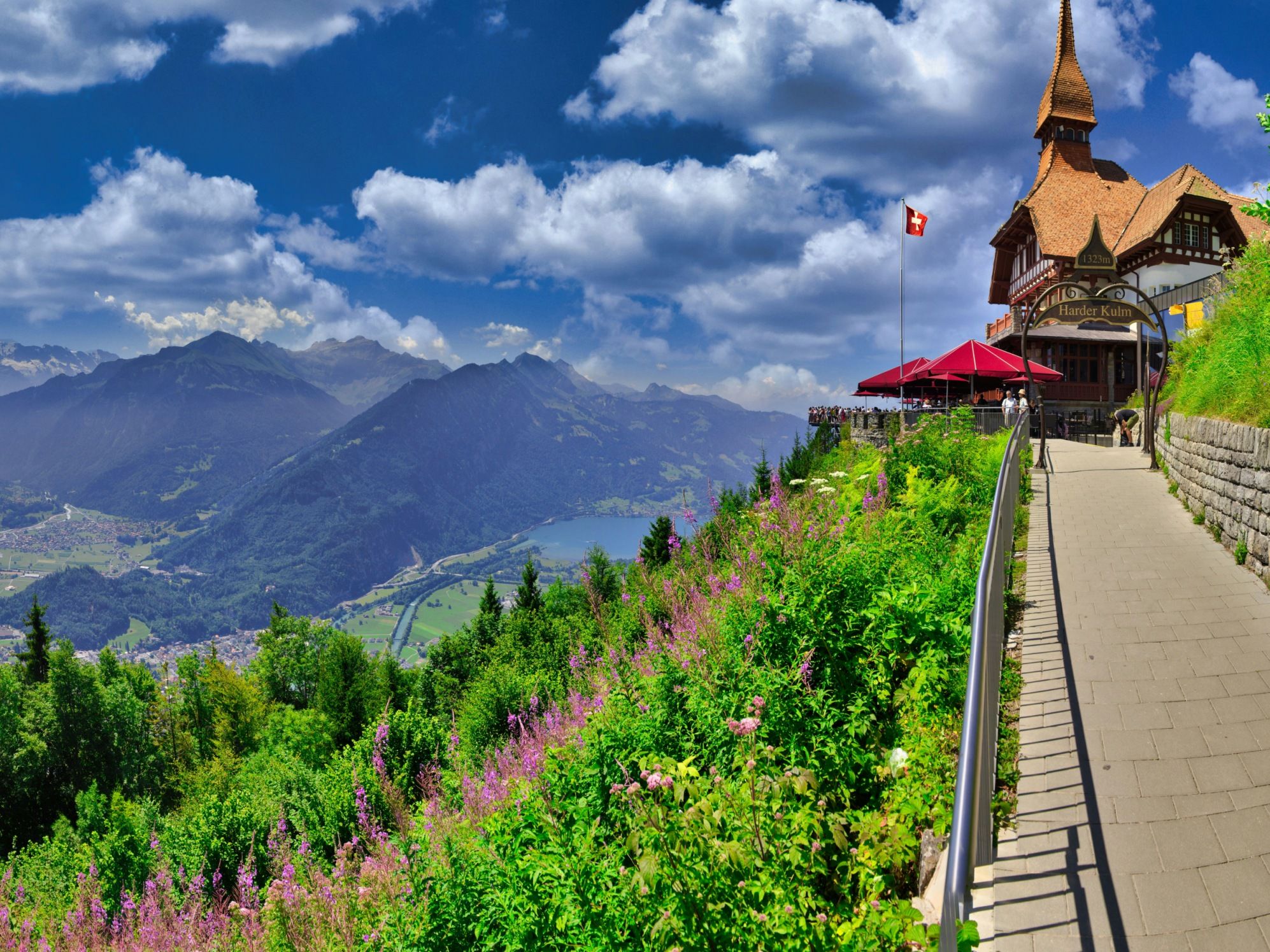 Harder Kulm: Widok na góry i dolinę z kwitnącymi roślinami i restauracją.
