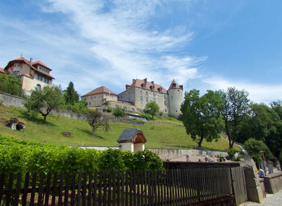 Gruyeres: Explore the impressive castle and the charming surroundings during your day trip.