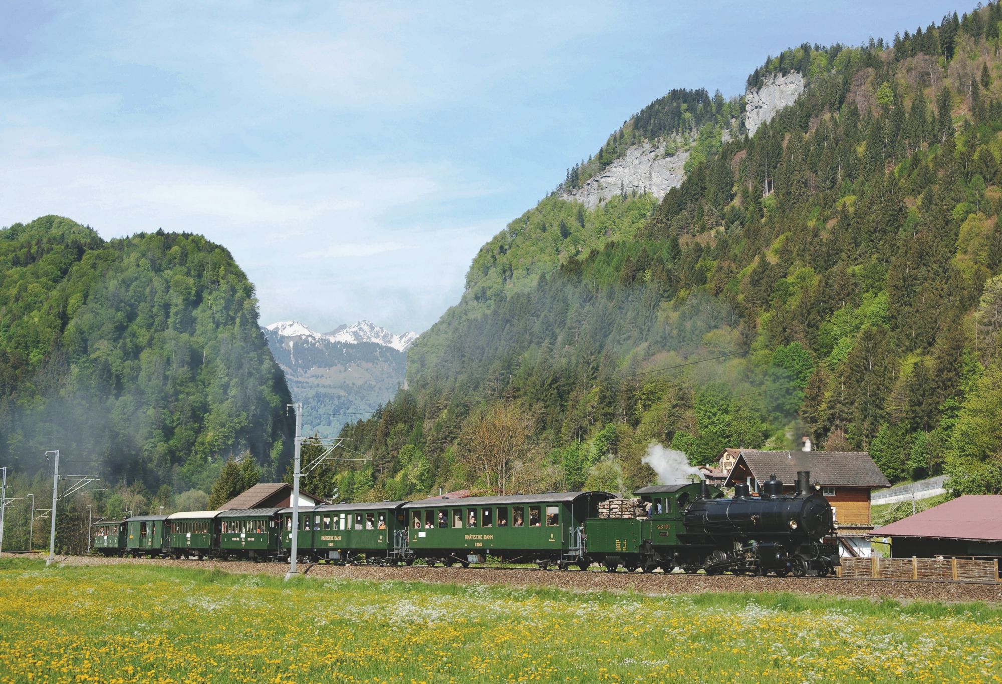 Davos circular tour with steam locomotive amidst mountains in spring, green landscape and historic trains