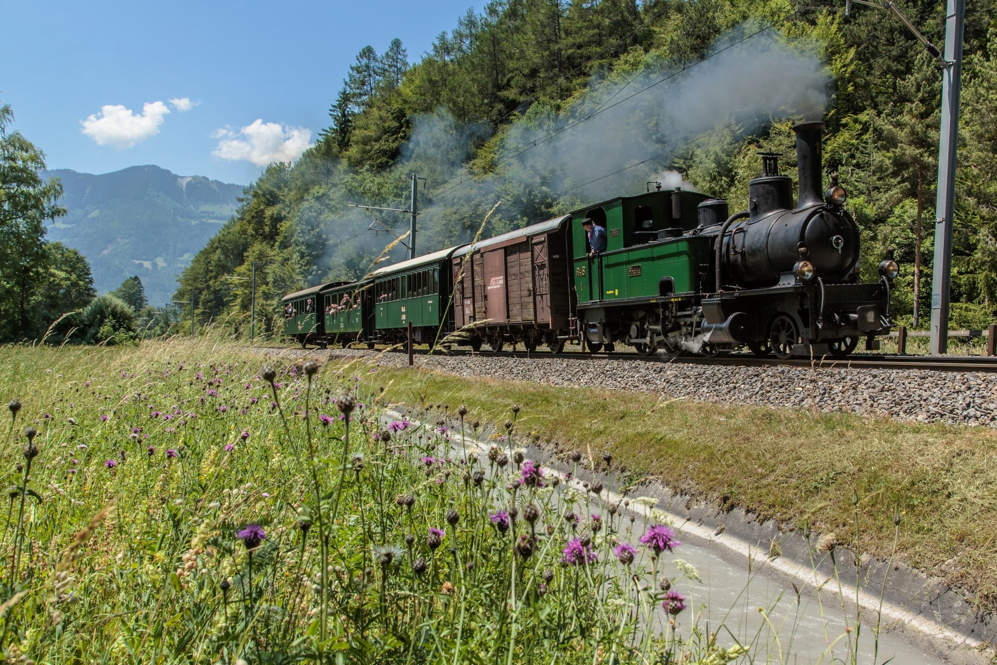 Davos Round Trip, steam locomotive travels through green landscape with flowers