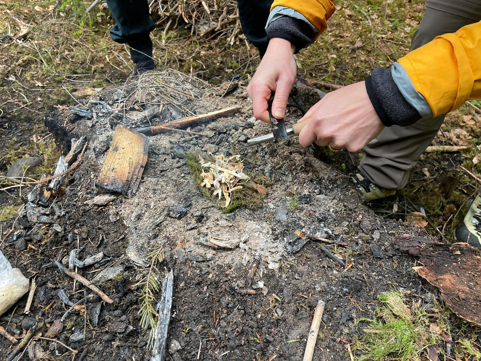 火炉厨房：在篝火旁的户外烹饪，四周环绕着森林和自然。