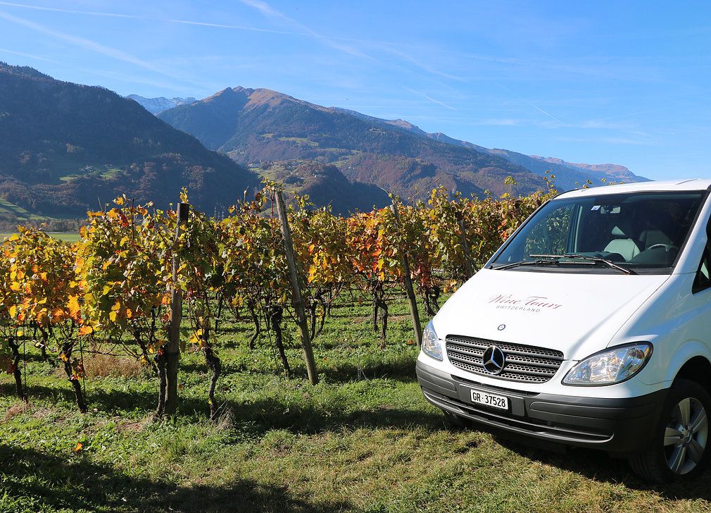 Tour di vini con chauffeur privato in Mercedes-Benz tra i vigneti