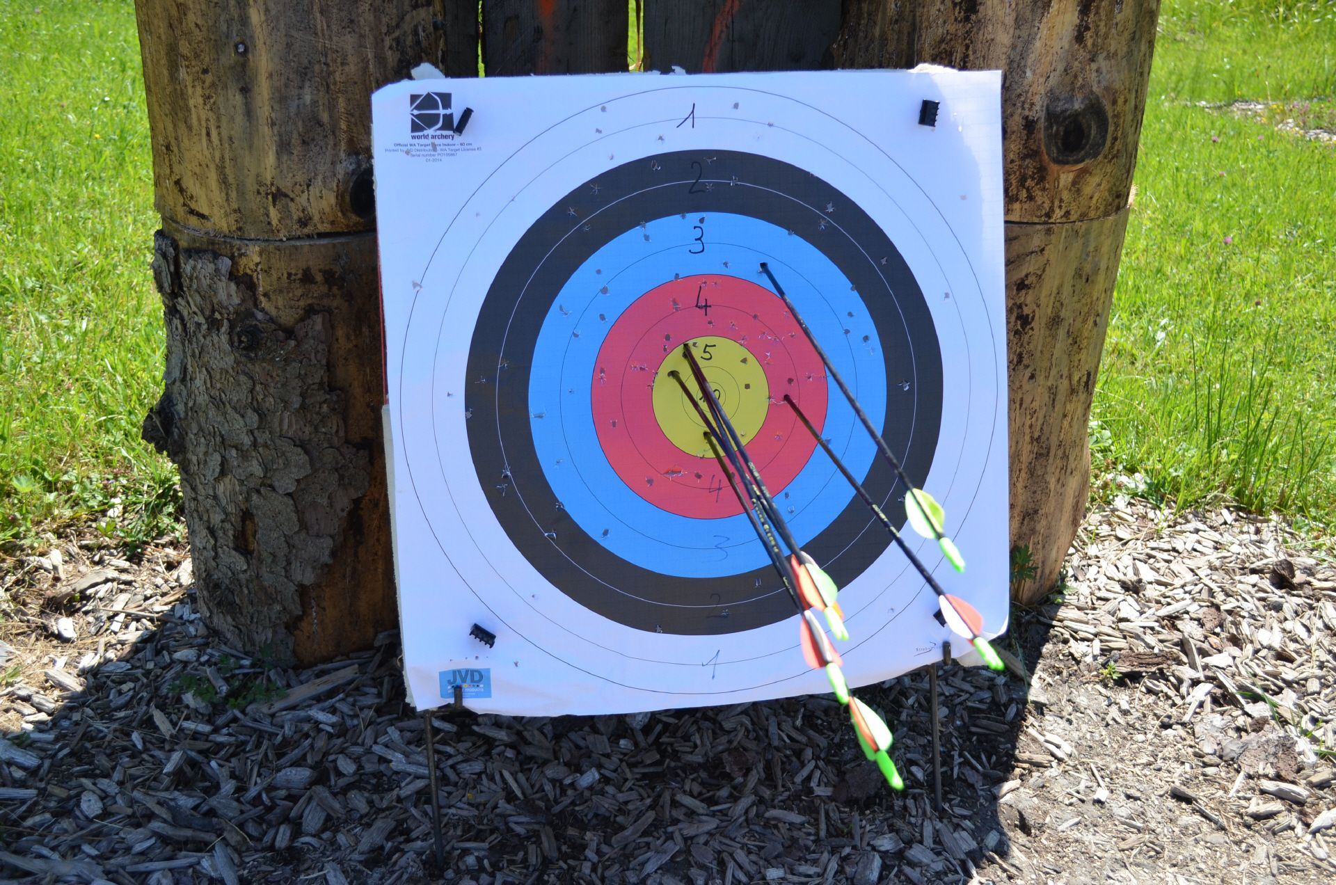 Мишень на соревнованиях по стрельбе в Швейцарии, стрекоза в мишени