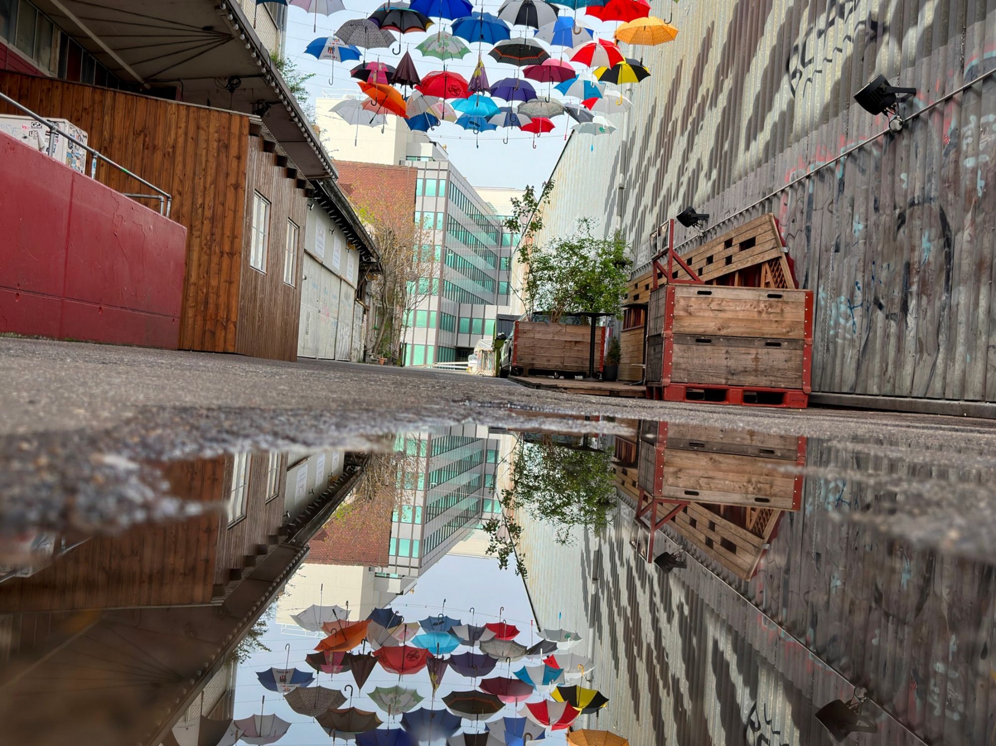 거울 반사: 거리 위에 걸려 있는 우산을 촬영하고 도시의 아름다움을 반영해 보세요