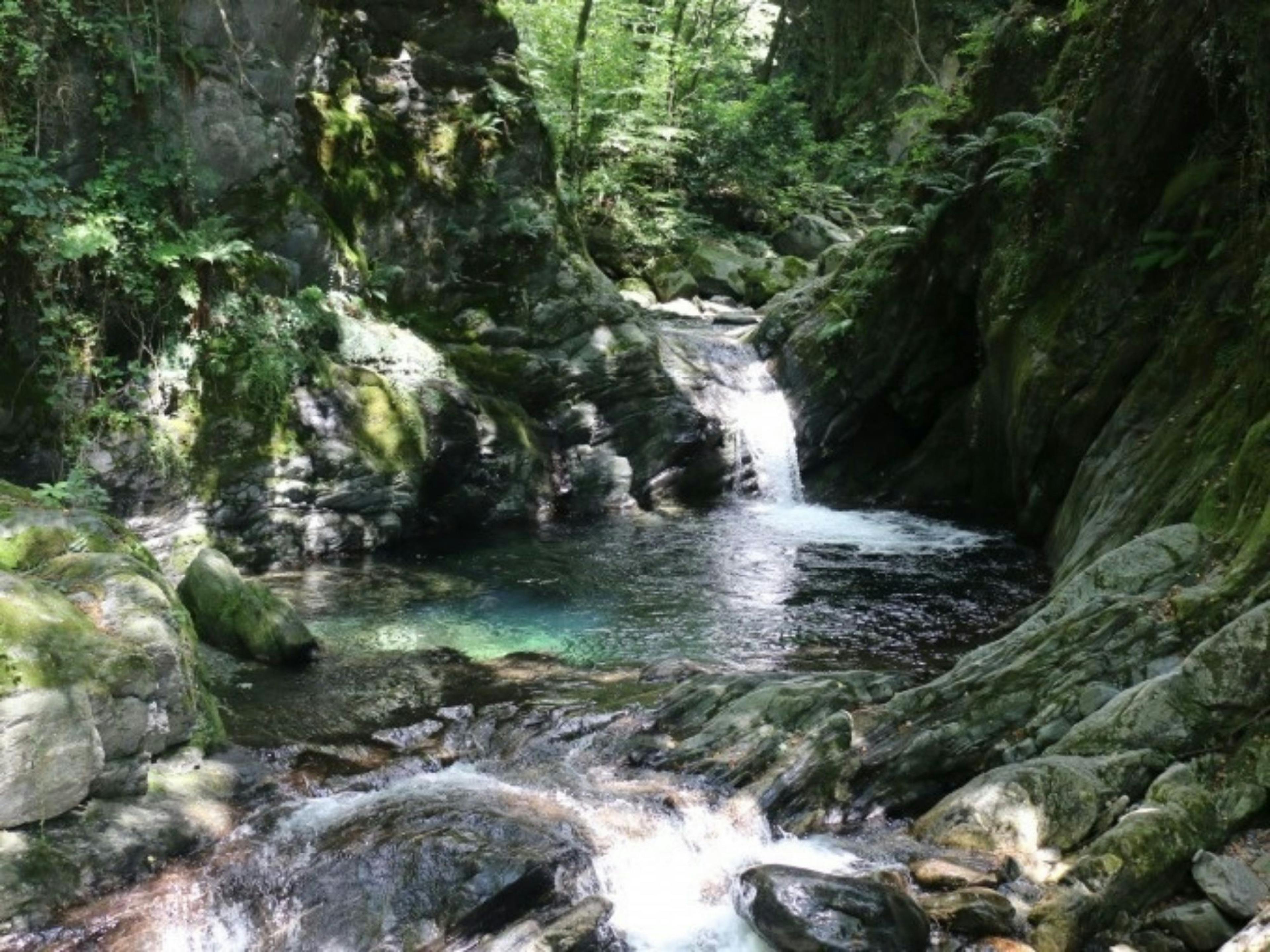 Canyoning Cugnasco: Vivi la natura affascinante durante un'avventura in Ticino.