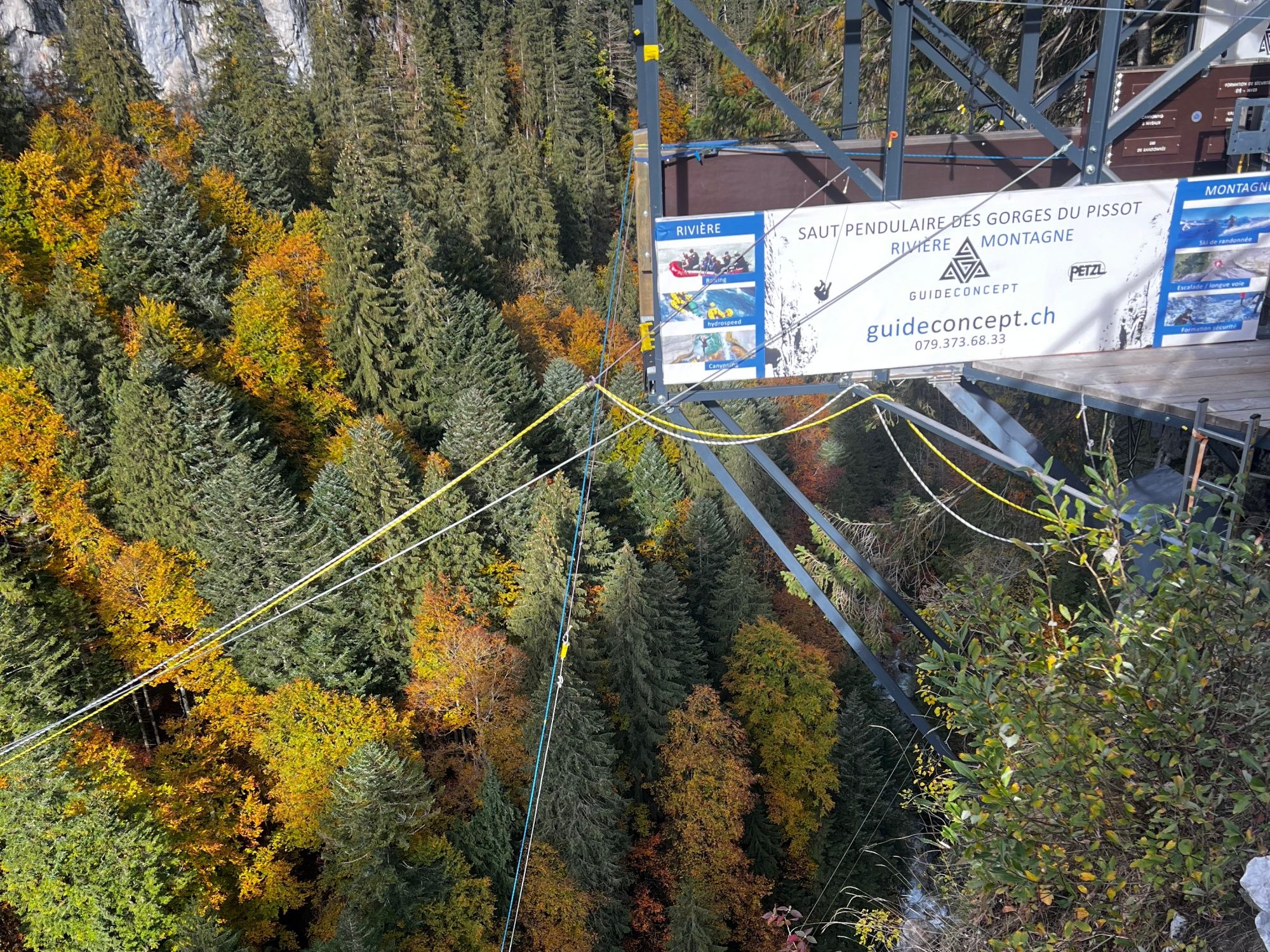 Canyon Swing: Experimenta la emoción de balancearte entre el colorido bosque en los Alpes.