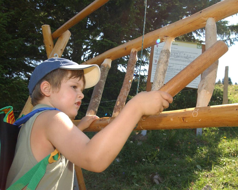 Экологическая тропа: ребёнок играет с деревянной игрушкой на природе летом.