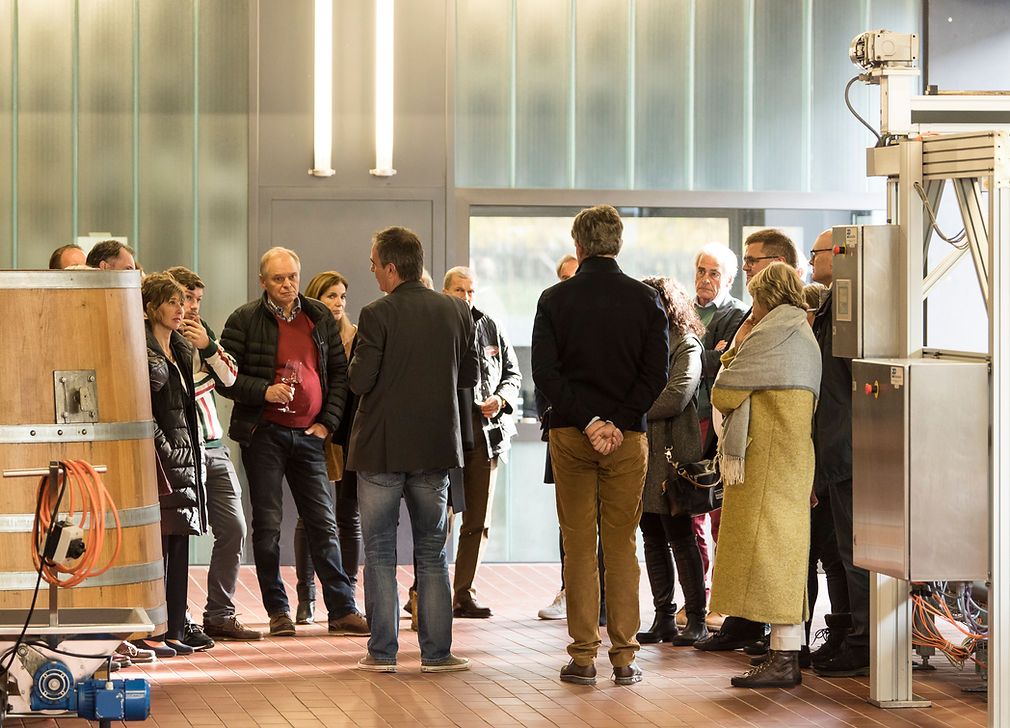 Weintour: Entdecke die Weinregion mit einer grosen Gruppe, tollen Weinen und informativen Erlebnissen