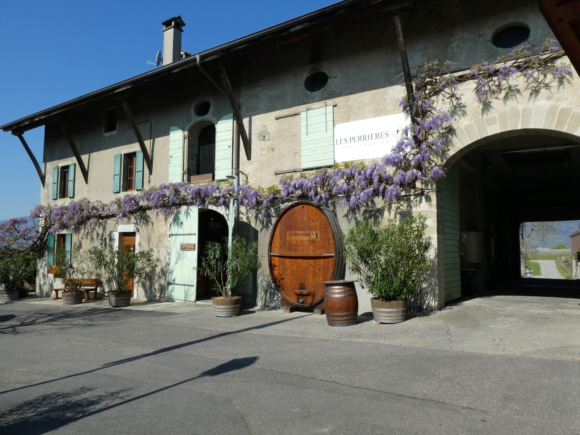E-Bike Tour: Geniet van wijnproeverij op een idyllische wijngaard met bloeiende planten.