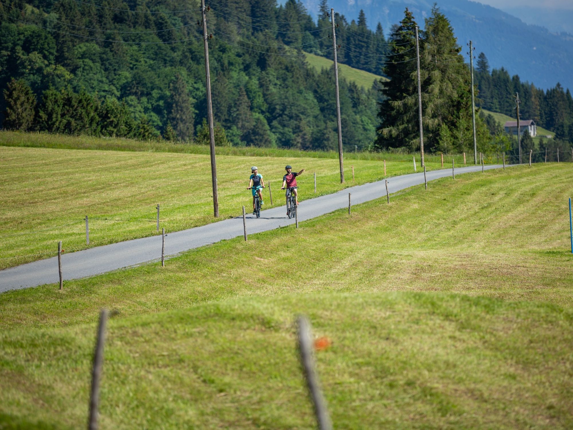 GPS-квест на электросамокатах в Хейдиланде: исследуйте природу вместе с друзьями на велосипеде.