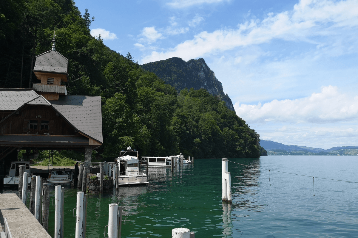 Ver Lago: paisagem aquática tranquila rodeada de montanhas e floresta, ideal para charters diários.