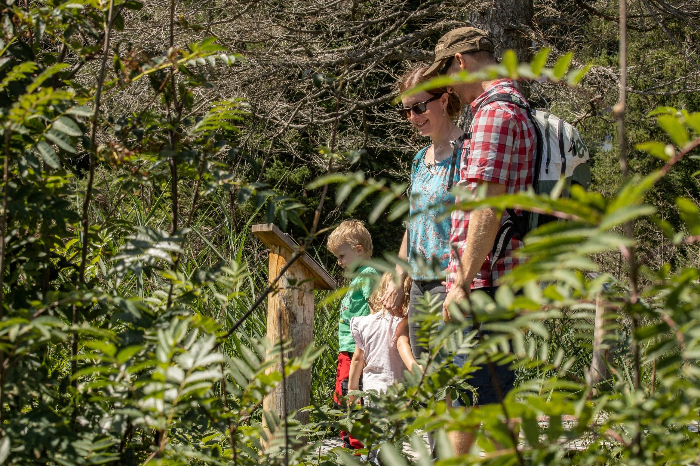 Οικογένεια Μπράμπρουσεχ εξερευνά το μονοπάτι στη φύση